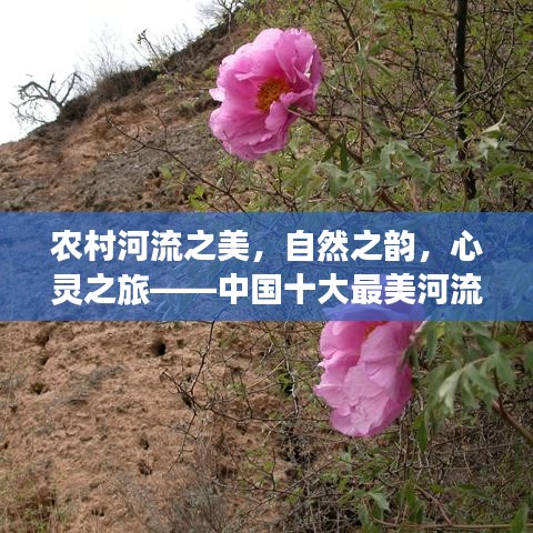 農(nóng)村河流之美，自然之韻，心靈之旅——中國十大最美河流排名