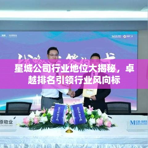 星城公司行業(yè)地位大揭秘，卓越排名引領(lǐng)行業(yè)風(fēng)向標