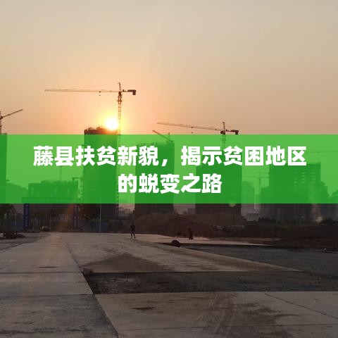 藤縣扶貧新貌，揭示貧困地區(qū)的蛻變之路