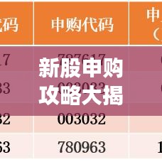 新股申購(gòu)攻略大揭秘，輕松成功申購(gòu)，獲取高額收益的技巧