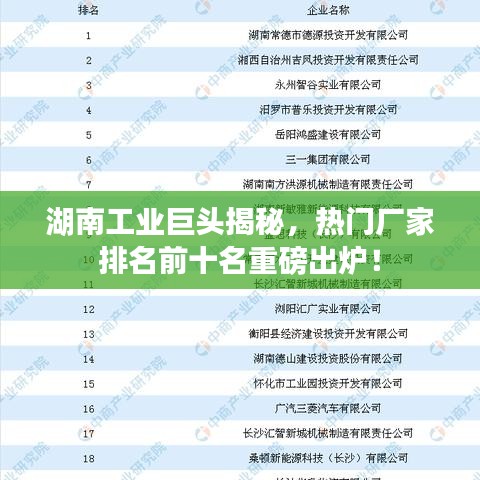 湖南工業(yè)巨頭揭秘，熱門廠家排名前十名重磅出爐！