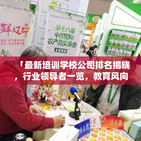 「最新培訓學校公司排名揭曉，行業(yè)領(lǐng)導者一覽，教育風向標把握在手」
