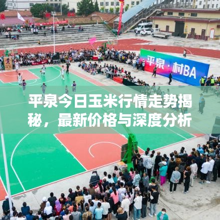 平泉今日玉米行情走勢(shì)揭秘，最新價(jià)格與深度分析