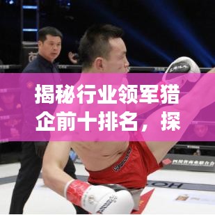 揭秘行業(yè)領(lǐng)軍獵企前十排名，探尋成功秘訣！