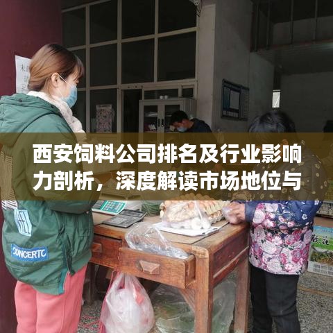 西安飼料公司排名及行業(yè)影響力剖析，深度解讀市場地位與影響力