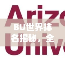 BU世界排名揭秘，全球影響力與地位的探究