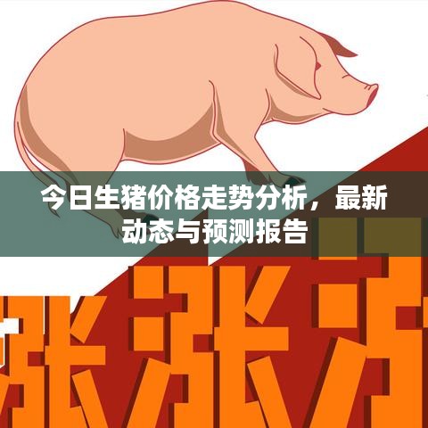 今日生豬價格走勢分析，最新動態(tài)與預測報告