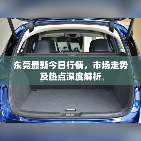 東莞最新今日行情，市場走勢及熱點深度解析