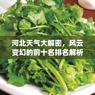 河北天氣大解密，風(fēng)云變幻的前十名排名解析