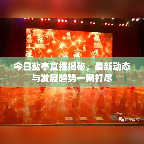 今日鹽亭直播揭秘，最新動態(tài)與發(fā)展趨勢一網(wǎng)打盡