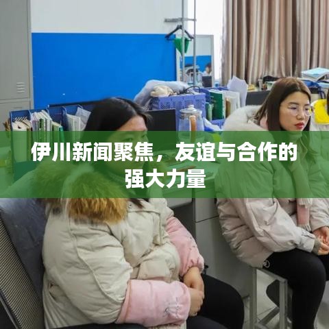 伊川新聞聚焦，友誼與合作的強(qiáng)大力量