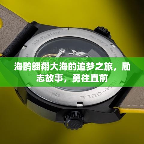 海鷗翱翔大海的追夢之旅，勵志故事，勇往直前