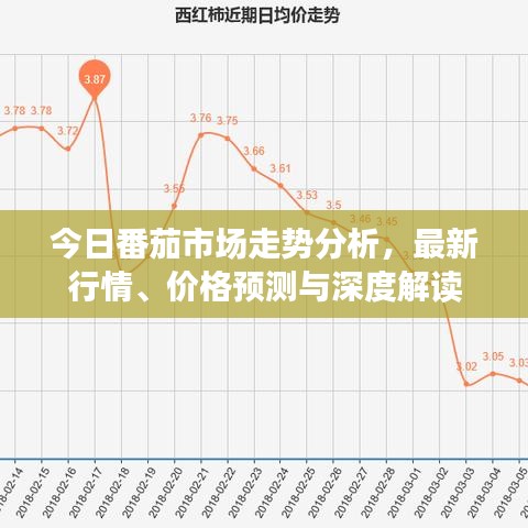 今日番茄市場走勢分析，最新行情、價格預測與深度解讀