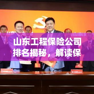 山東工程保險(xiǎn)公司排名揭秘，解讀保險(xiǎn)行業(yè)力量分布榜單