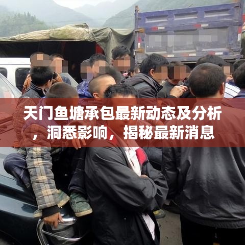 天門魚塘承包最新動態(tài)及分析，洞悉影響，揭秘最新消息