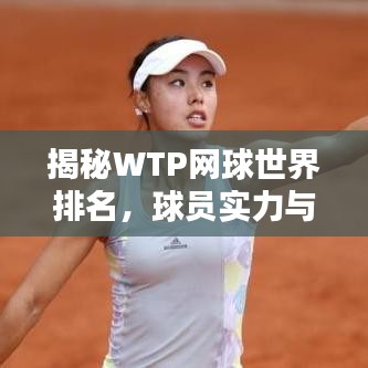 揭秘WTP網(wǎng)球世界排名，球員實力與榮耀的評估刻度尺全解析