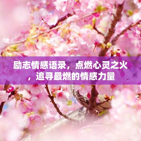 勵(lì)志情感語錄，點(diǎn)燃心靈之火，追尋最燃的情感力量