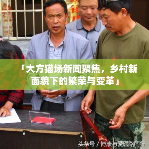 「大方貓場(chǎng)新聞聚焦，鄉(xiāng)村新面貌下的繁榮與變革」