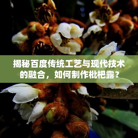 揭秘百度傳統(tǒng)工藝與現(xiàn)代技術的融合，如何制作枇杷露？