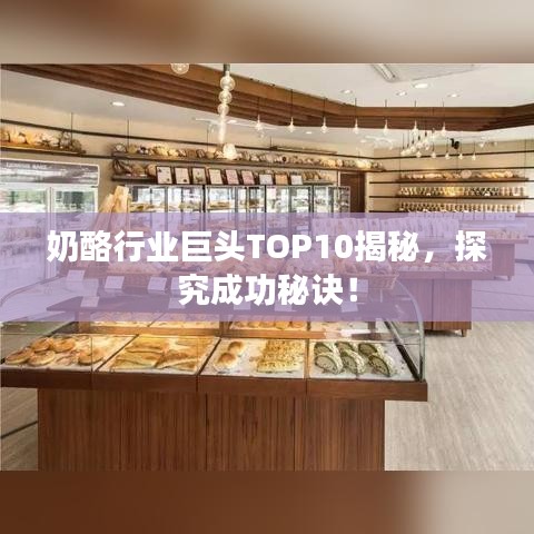 奶酪行業(yè)巨頭TOP10揭秘，探究成功秘訣！