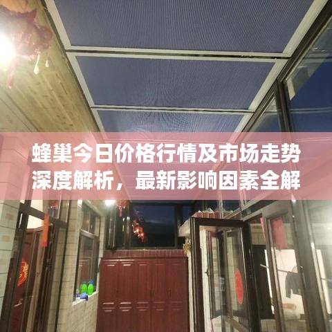 蜂巢今日價格行情及市場走勢深度解析，最新影響因素全解析