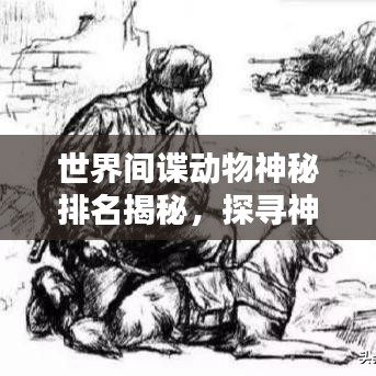 世界間諜動物神秘排名揭秘，探尋神秘榜單背后的秘密