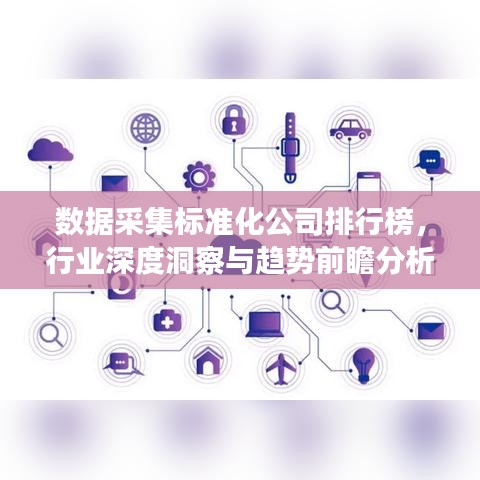 數(shù)據(jù)采集標(biāo)準(zhǔn)化公司排行榜，行業(yè)深度洞察與趨勢(shì)前瞻分析