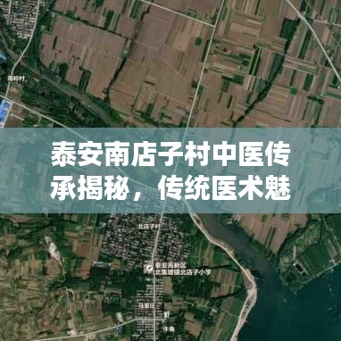 泰安南店子村中醫(yī)傳承揭秘，傳統(tǒng)醫(yī)術(shù)魅力最新視頻欣賞