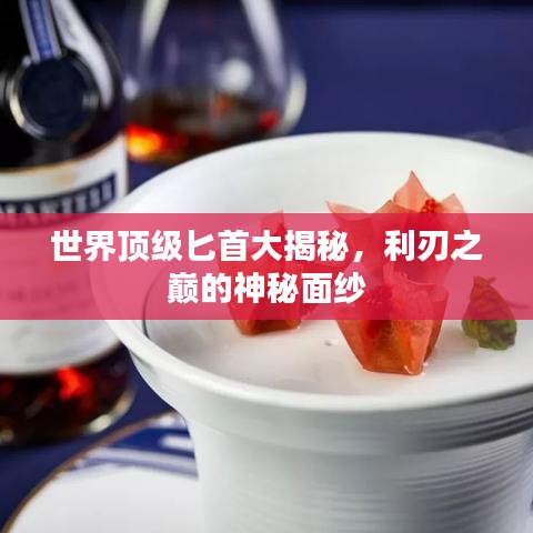 世界頂級匕首大揭秘，利刃之巔的神秘面紗