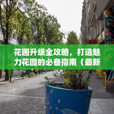 花圃升級全攻略，打造魅力花園的必備指南（最新）