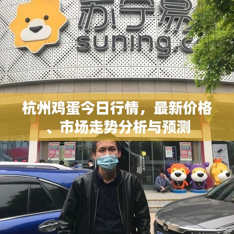 杭州雞蛋今日行情，最新價(jià)格、市場走勢分析與預(yù)測