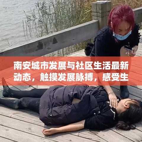 南安城市發(fā)展與社區(qū)生活最新動(dòng)態(tài)，觸摸發(fā)展脈搏，感受生活色彩