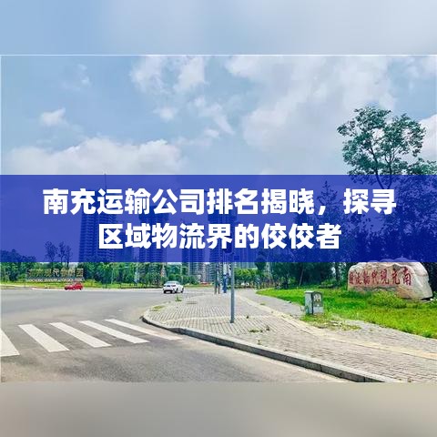 南充運(yùn)輸公司排名揭曉，探尋區(qū)域物流界的佼佼者