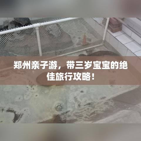 鄭州親子游，帶三歲寶寶的絕佳旅行攻略！