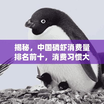揭秘，中國磷蝦消費(fèi)量排名前十，消費(fèi)習(xí)慣大解析！
