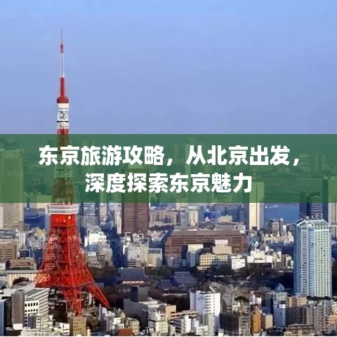 東京旅游攻略，從北京出發(fā)，深度探索東京魅力
