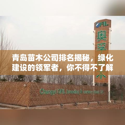 青島苗木公司排名揭秘，綠化建設(shè)的領(lǐng)軍者，你不得不了解的佼佼者！