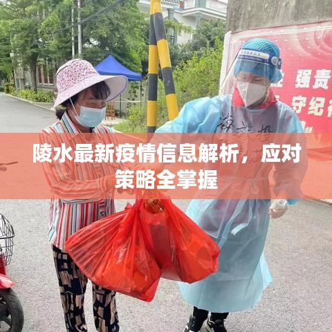 陵水最新疫情信息解析，應(yīng)對策略全掌握