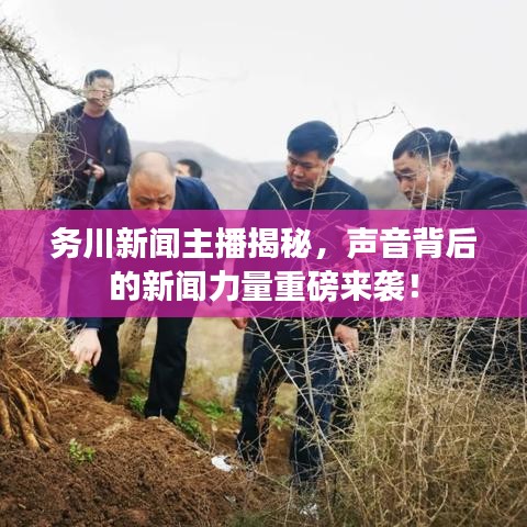 務川新聞主播揭秘，聲音背后的新聞力量重磅來襲！