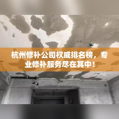 杭州修補公司權威排名榜，專業(yè)修補服務盡在其中！