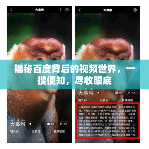 揭秘百度背后的視頻世界，一搜便知，盡收眼底