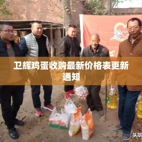 衛(wèi)輝雞蛋收購(gòu)最新價(jià)格表更新通知