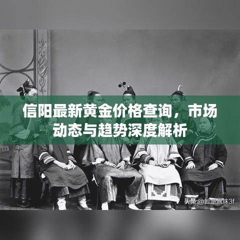 信陽(yáng)最新黃金價(jià)格查詢(xún)，市場(chǎng)動(dòng)態(tài)與趨勢(shì)深度解析