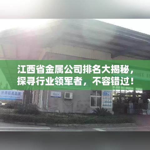 江西省金屬公司排名大揭秘，探尋行業(yè)領軍者，不容錯過！