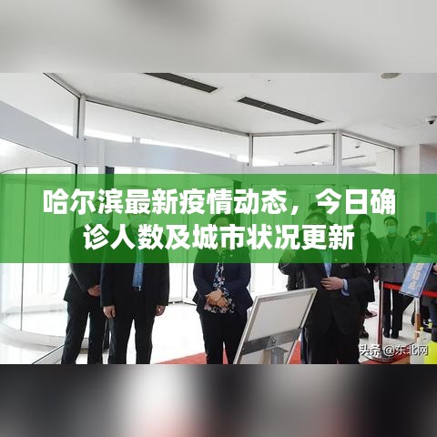 哈爾濱最新疫情動(dòng)態(tài)，今日確診人數(shù)及城市狀況更新