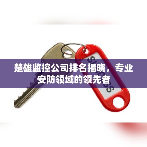 楚雄監(jiān)控公司排名揭曉，專業(yè)安防領(lǐng)域的領(lǐng)先者
