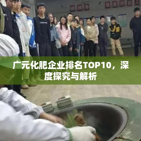 廣元化肥企業(yè)排名TOP10，深度探究與解析