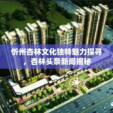 忻州杏林文化獨(dú)特魅力探尋，杏林頭條新聞揭秘