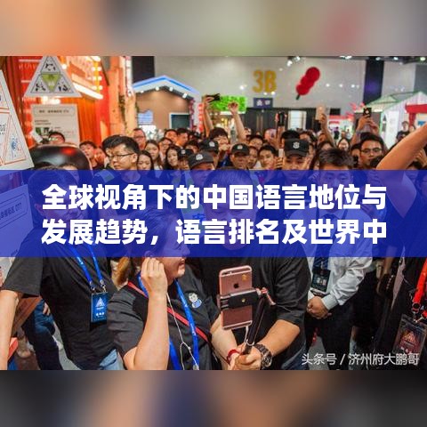 全球視角下的中國(guó)語(yǔ)言地位與發(fā)展趨勢(shì)，語(yǔ)言排名及世界中的影響力分析