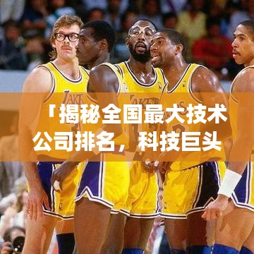 「揭秘全國最大技術公司排名，科技巨頭背后的力量角逐」